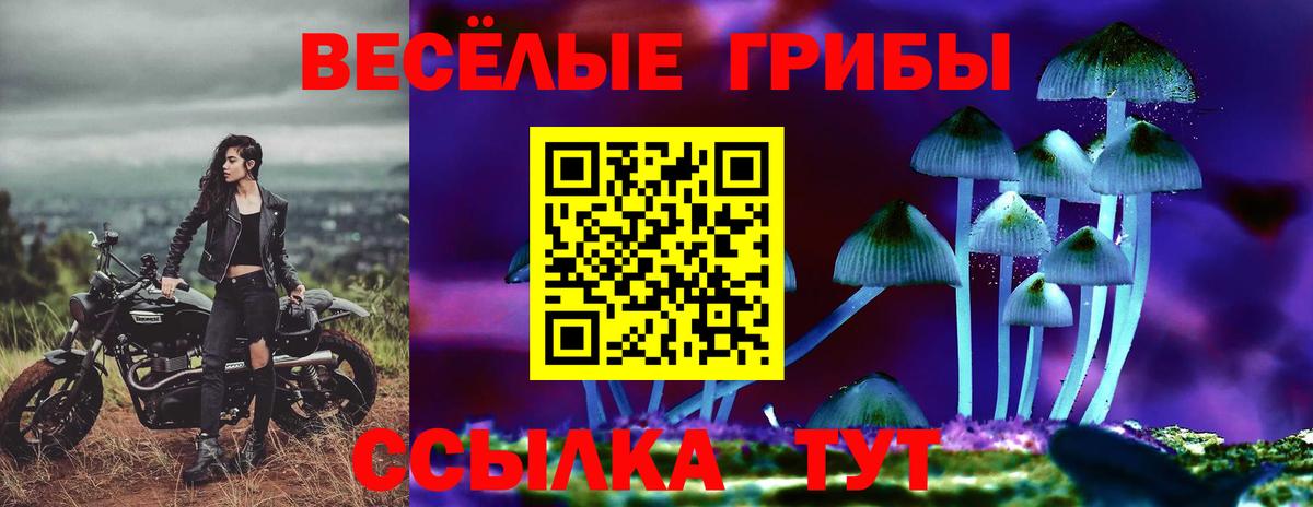 Гагарин  Галлюциногенные грибы прущие грибы  как найти   Галлюциногенные грибы мухоморы  Вход с VPN 